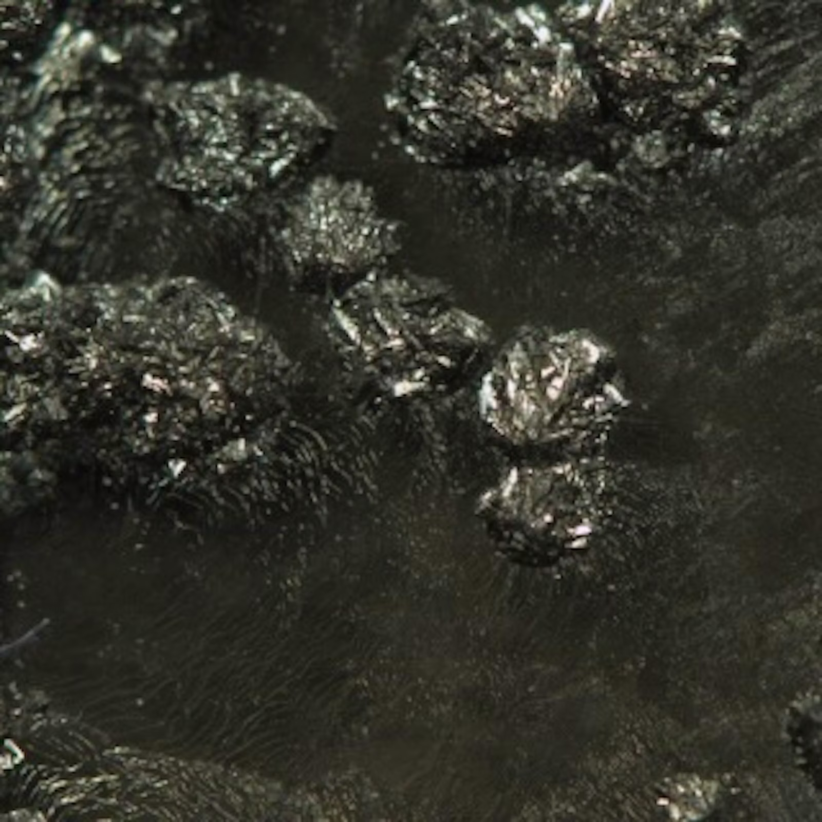 A close-up photograph of a dark mineral, showing bumpy, rounded clumps with many shiny, reflective facets.