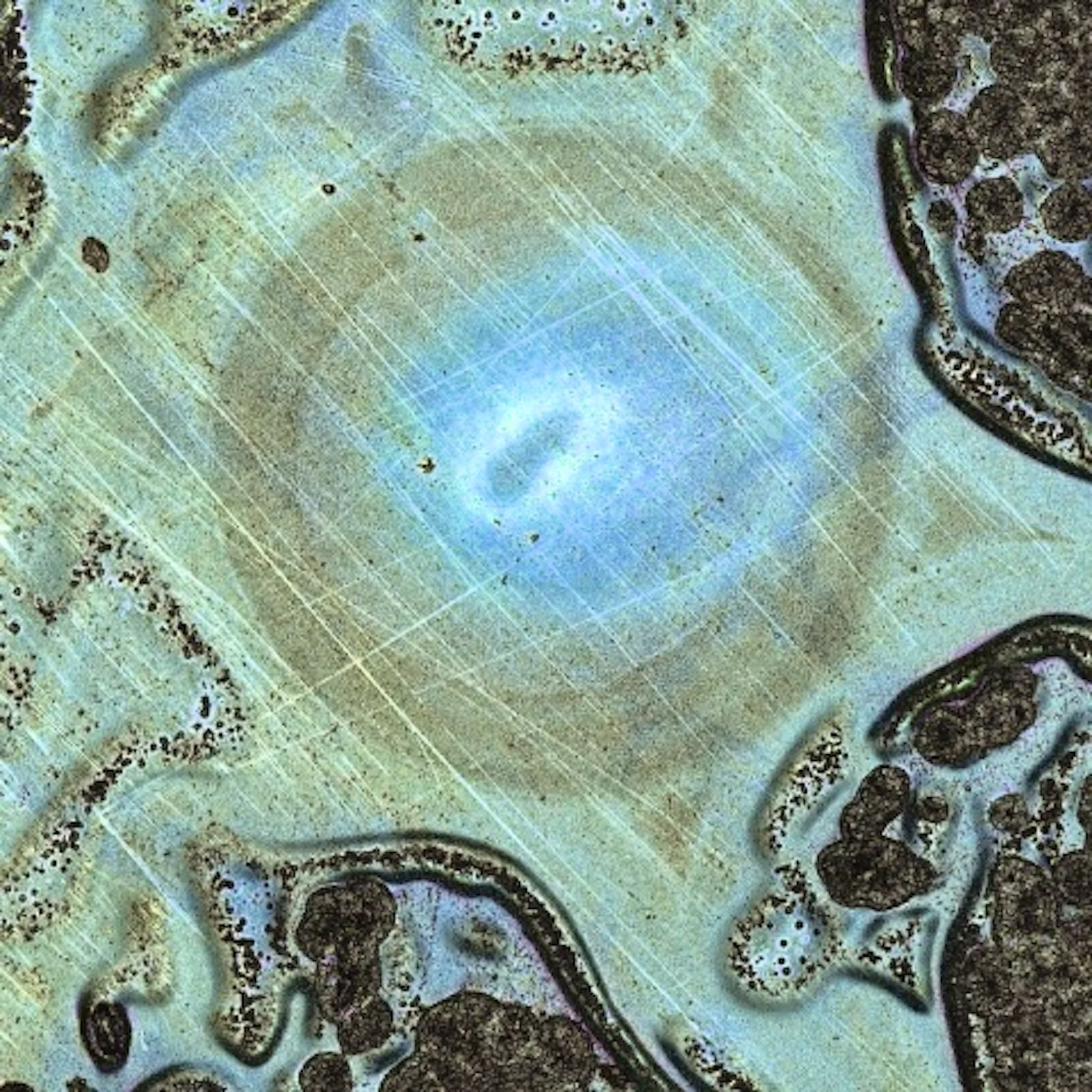 Diamond growth visual 5