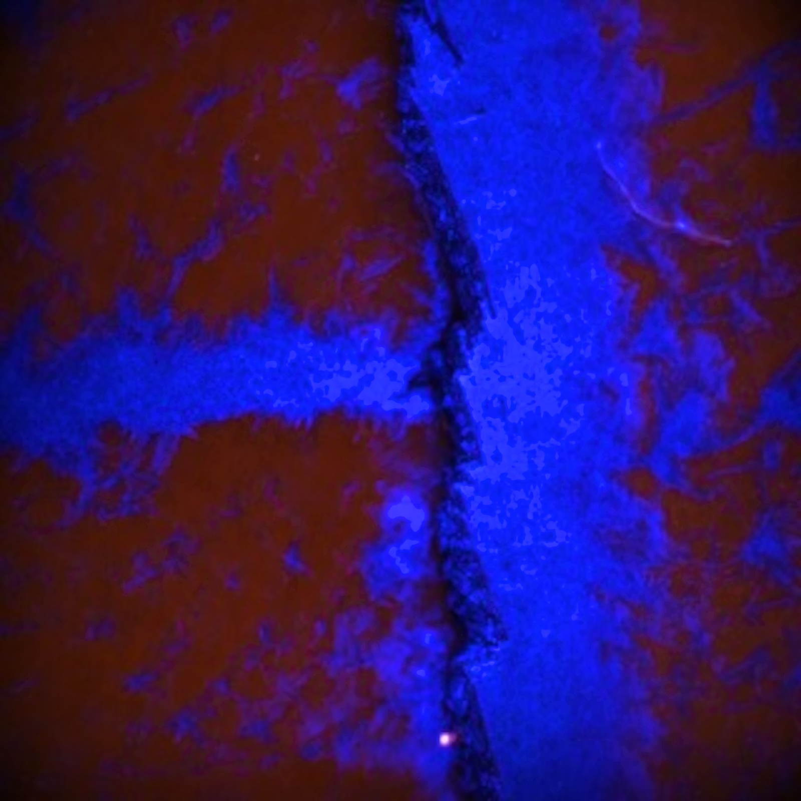 An abstract image with a mix of red and blue.